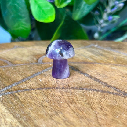 Mini Crystal Mushrooms