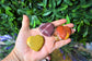 Mookaite Jasper Hearts